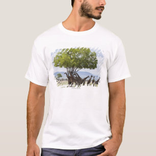 Camiseta No parque nacional do safari Mikumi, Tanzânia
