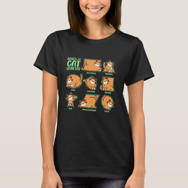 Camiseta Noções Básicas De Geometria De Gato, Professor De  (Frente)