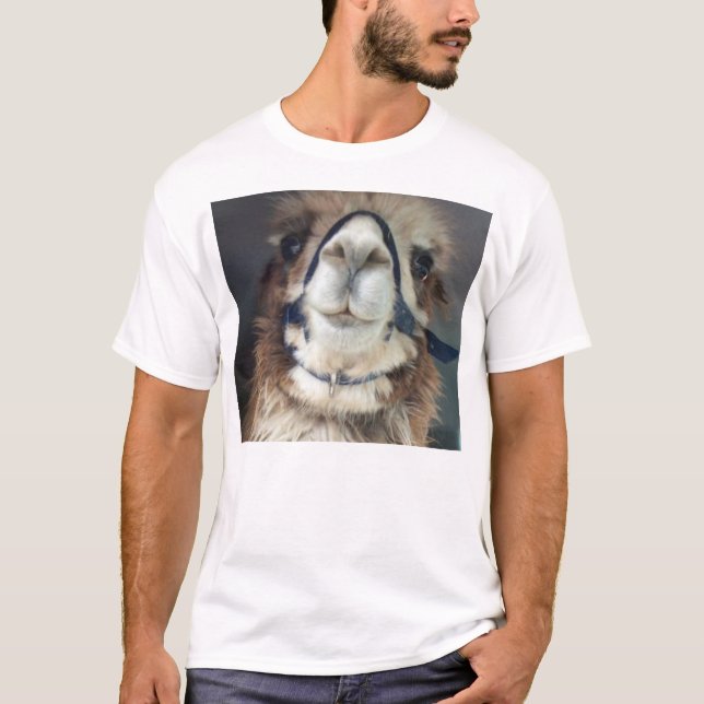 Camiseta NoesNoToes (Frente)