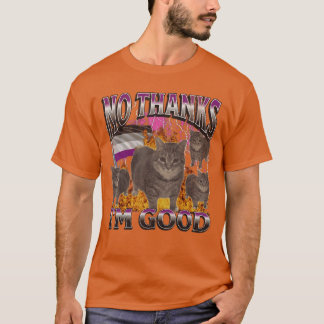 Camiseta Nohanks Im Good Funny Aseual Lgbtq Cat Meme Bootle