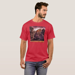 Camiseta Noite bonita