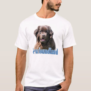 Camiseta Nome (marrom) de Terra Nova