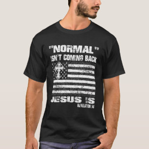 Camiseta Normal não está voltando Jesus é o American Fla