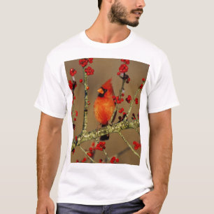 Camiseta Norte Cardinal macho, IL