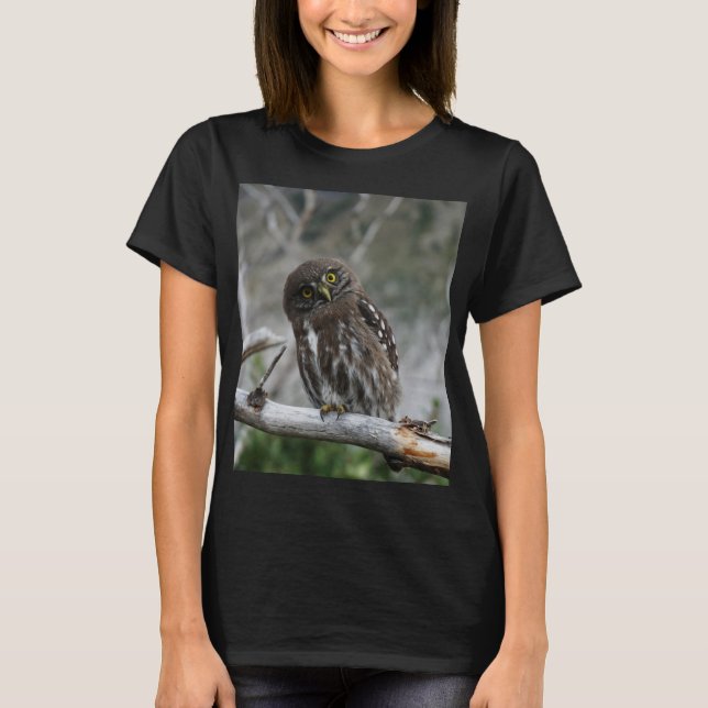 Camiseta Norte Pygmy Owl T Shirt (Frente)