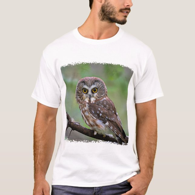 Camiseta Norte Saw-whet Owl (Frente)