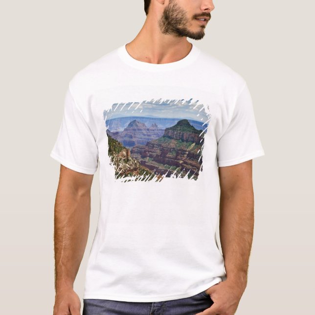 Camiseta North Rim Gran Canyon - Grand Canyon Nacional (Frente)