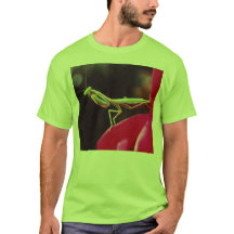 Nós fomos introduzidos?