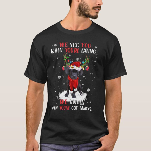 Camiseta Nós Sabemos Quando Você Tem Lanches Puggle (Frente)