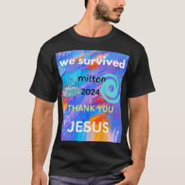 Camiseta nós sobrevivemos ao milton 2024