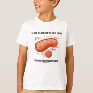 Camiseta Nós todos somos relacionados através das