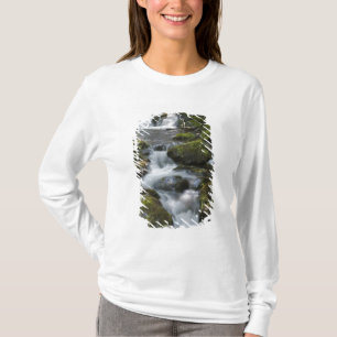 Camiseta Nova Brunswick, Canadá. Dickson Falls em Fundy