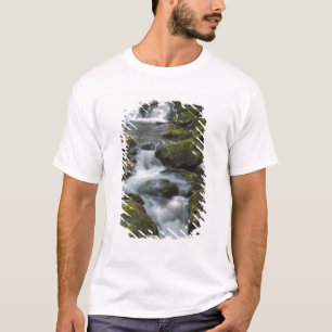 Camiseta Nova Brunswick, Canadá. Dickson Falls em Fundy