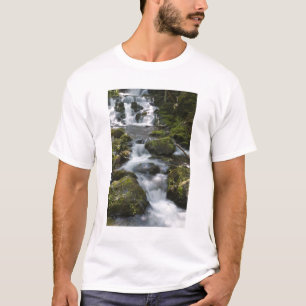 Camiseta Nova Brunswick, Canadá. Dickson Falls em Fundy