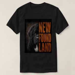 Camiseta Nova Terra Encontrada