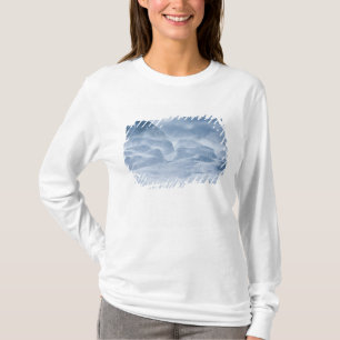 Camiseta Nova Zelândia, Ilha do Sul, Cordilheira Arrowsmith