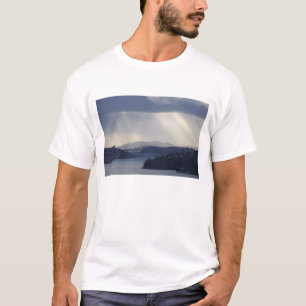 Camiseta Nova Zelândia, Otago, Dunedin, Eixos de Luz sobre