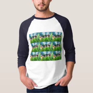 Camiseta Nove momentos alpinos