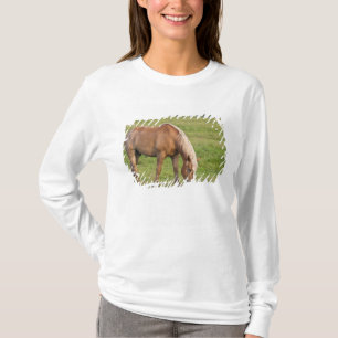 Camiseta Novo Brunswick, Canadá. Cavalo no campo.