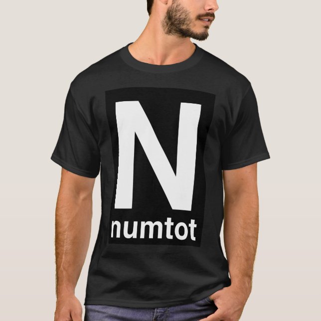 Camiseta Numtot Transit (Frente)