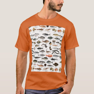 Camiseta NZ fish species Graphic