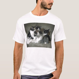 Camiseta O amor do gatinho cronometra 5
