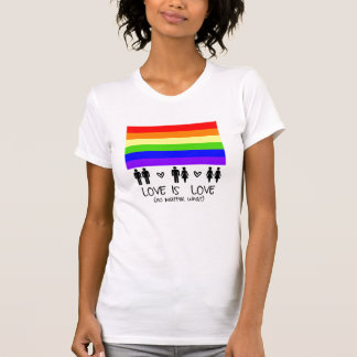 Camiseta O amor é amor