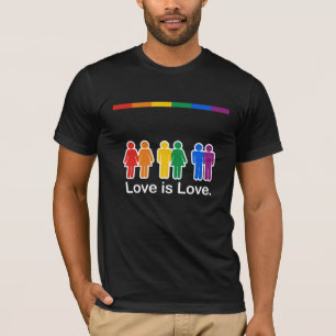 CAMISETA O AMOR É BASIC DO AMOR