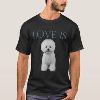 O Amor É Bichon Frise