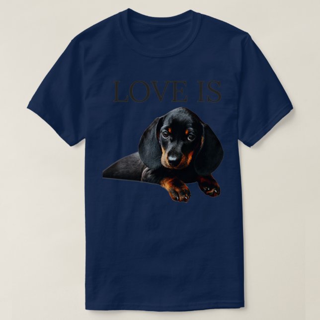 Camiseta O Amor É Cão De Dachshund (Frente do Design)