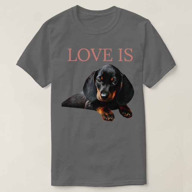 Camiseta O Amor É Um Cão Dachshund1 (Frente do Design)