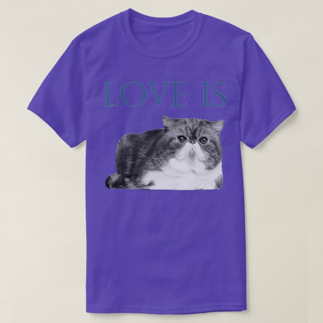 Camiseta O Amor É Um Gato De Ar Curto Exótico (Frente do Design)