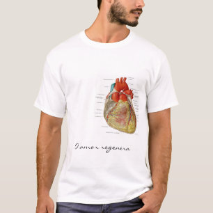 Camiseta O amor regenera