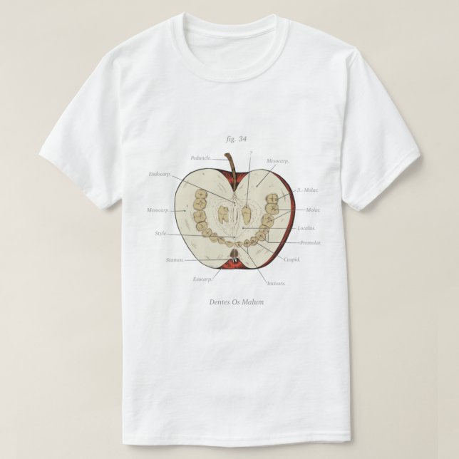 Camiseta O Arquivo Magnus - Classe Anatômica - Apple Dente (Frente do Design)