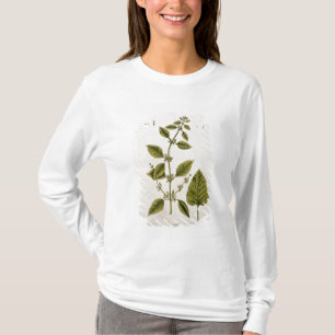 Camiseta O bálsamo, chapeia 27 "de um erval curioso",