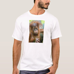 Camiseta O bebê bonito Orangutan está hetero à frente
