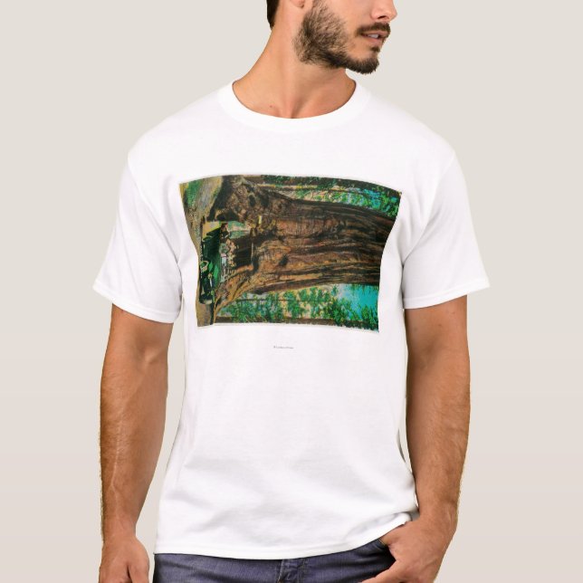 Camiseta O bosque grande da árvore de Mariposa, Yosemite (Frente)
