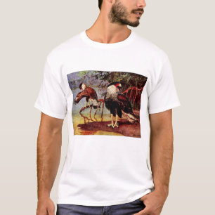 Camiseta O Caracara Crested de Audubon, 2 idades