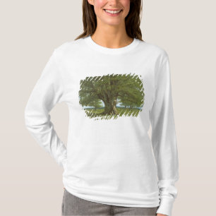 Camiseta O carvalho de Flagey, chamado Vercingetorix
