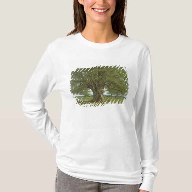 Camiseta O carvalho de Flagey, chamado Vercingetorix (Frente)