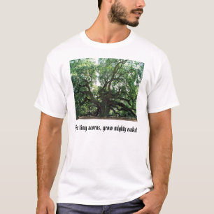 Camiseta o carvalho do anjo, das bolotas minúsculas, cresc