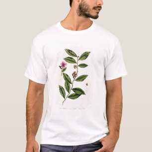 Camiseta O chá verde, chapeia 351 "de um erval curioso",