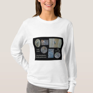 Camiseta O composto Downy do pica-pau representa artigos