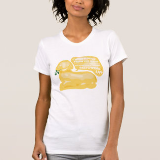 Camiseta O CRISTO É AUMENTADO, t-shirt engraçado do