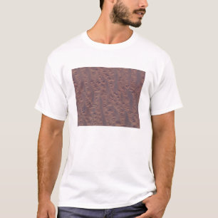 Camiseta O deserto argelino