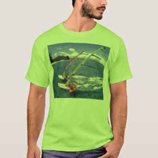 Camiseta o dobro tomou partido windsurf