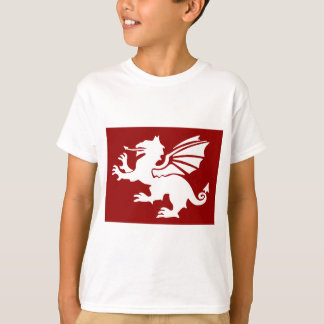 Camiseta O dragão vermelho