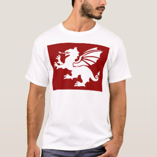 Camiseta O dragão vermelho