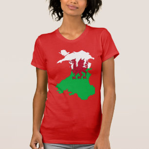 Camiseta O Dragão Vermelho Mostrará o Caminho