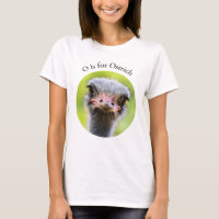 O é para o alfabeto do pássaro sem voo de fecho de